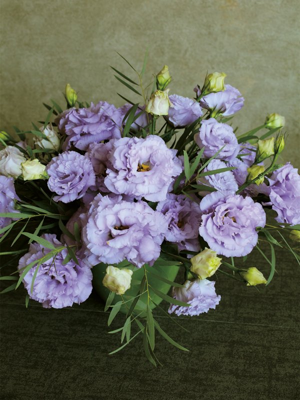 Lisianthus Reina 2 Deep Lavender