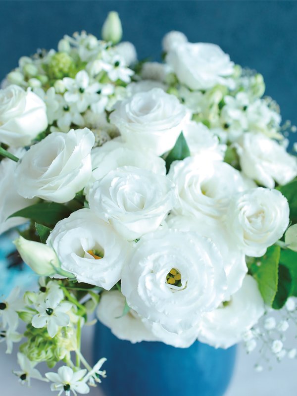 Lisianthus Rosita 3 White