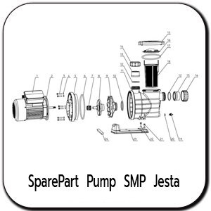 Spare Part SMP Pump