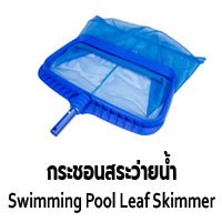 กระชอนสระว่ายน้ำ