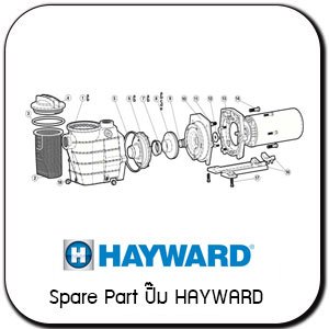 SparePart ปั๊ม  Hayward