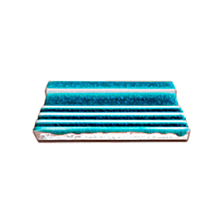 จมูกขอบสระ