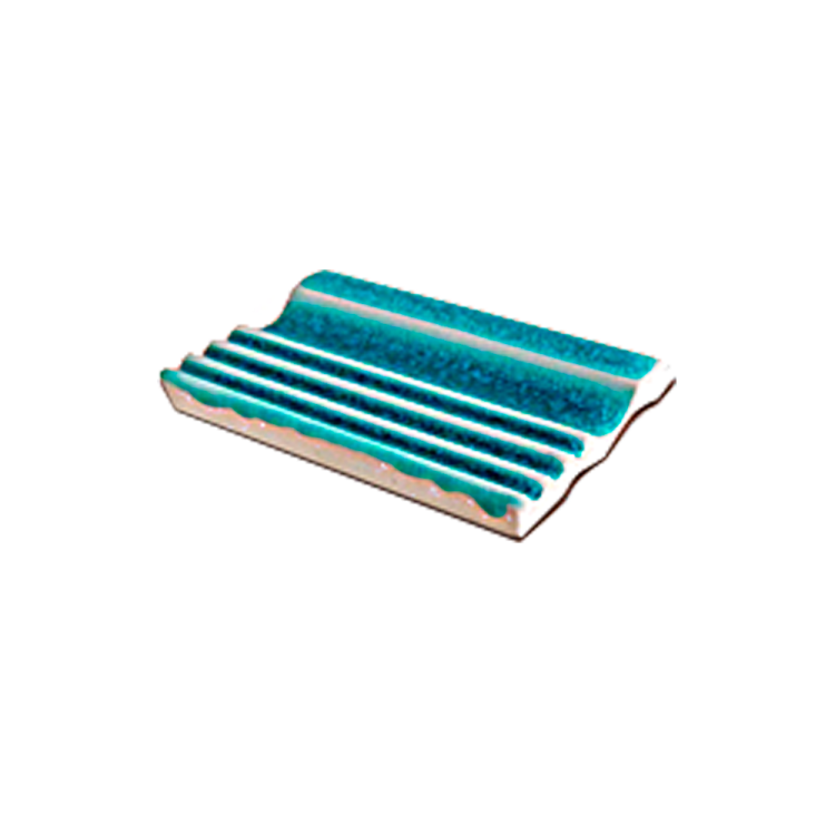 จมูกขอบสระ