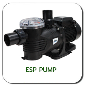 ESP Pump