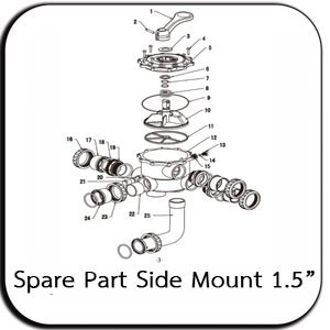 Spare Part MultultiportValve Side  Mount Laswim