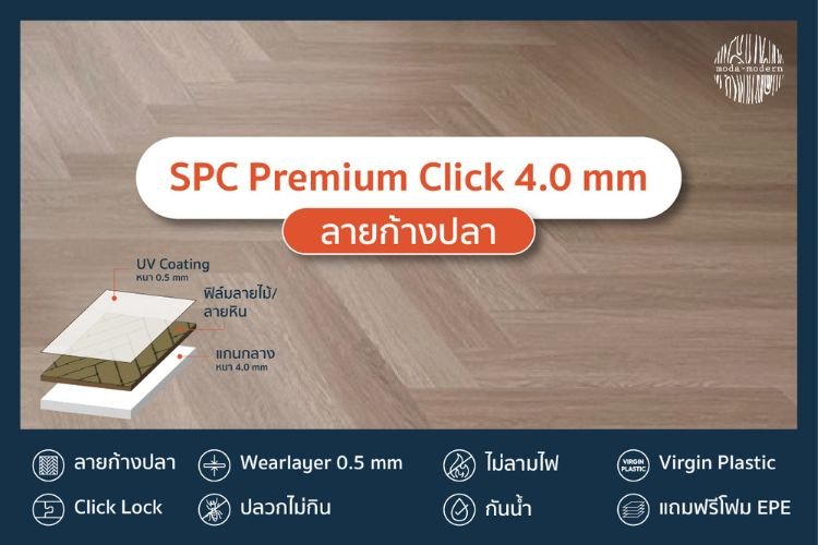 Premium Click 4.0mm ก้างปลา