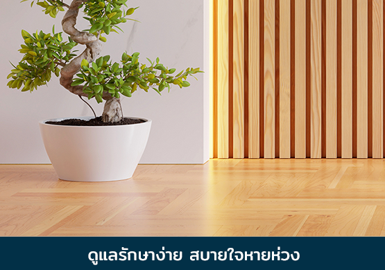 MGO ดูแลรักษาง่าย สบายใจหายห่วง