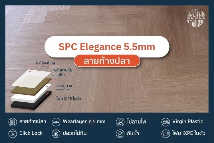 SPC Elegance 5.5mm
