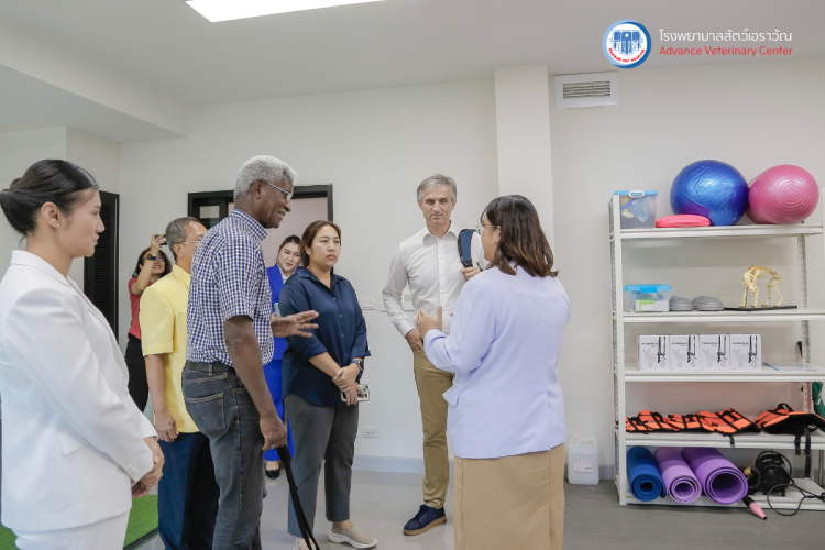 โรงพยาบาลสัตว์เอราวัณ (Erawan Pet Hospital) โรงพยาบาลสัตว์เอราวัณ (Erawan Pet Hospital)