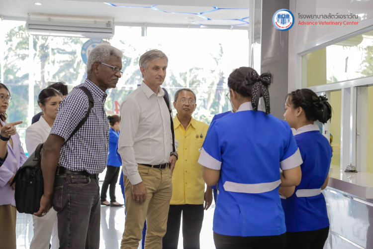 โรงพยาบาลสัตว์เอราวัณ (Erawan Pet Hospital)