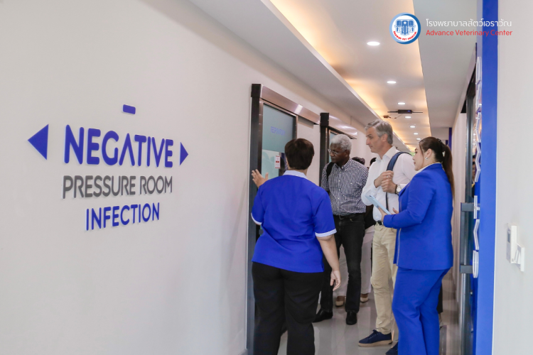 โรงพยาบาลสัตว์เอราวัณ (Erawan Pet Hospital) โรงพยาบาลสัตว์เอราวัณ (Erawan Pet Hospital)