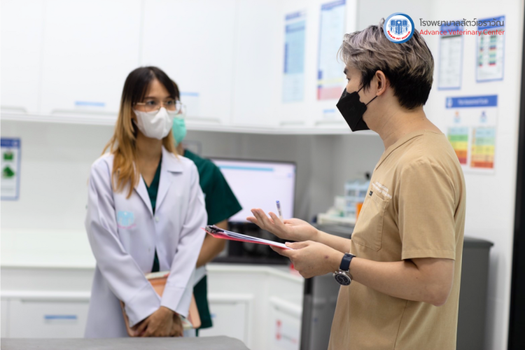 โรงพยาบาลสัตว์เอราวัณ (Erawan Pet Hospital)