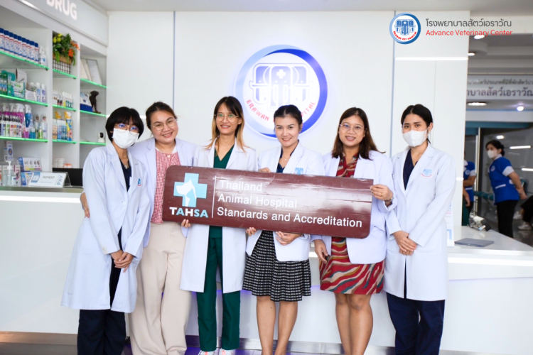 โรงพยาบาลสัตว์เอราวัณ (Erawan Pet Hospital)