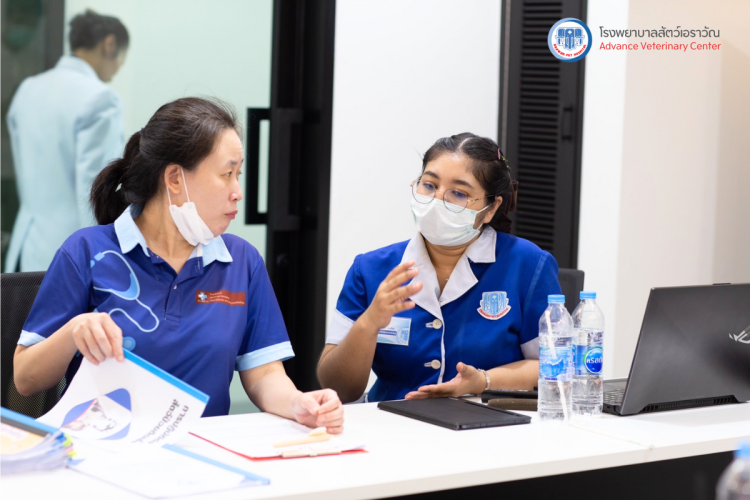 โรงพยาบาลสัตว์เอราวัณ (Erawan Pet Hospital)