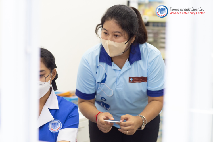 โรงพยาบาลสัตว์เอราวัณ (Erawan Pet Hospital)