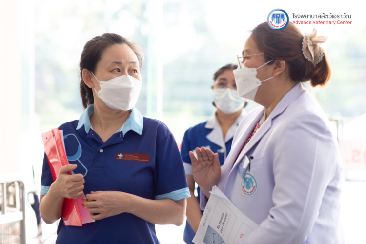 โรงพยาบาลสัตว์เอราวัณ (Erawan Pet Hospital)