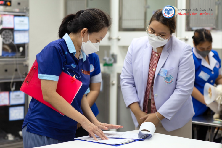 โรงพยาบาลสัตว์เอราวัณ (Erawan Pet Hospital)