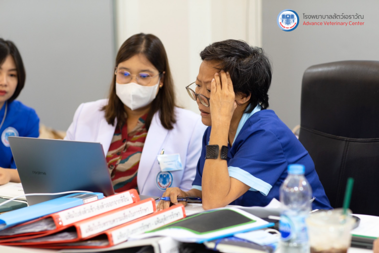 โรงพยาบาลสัตว์เอราวัณ (Erawan Pet Hospital)