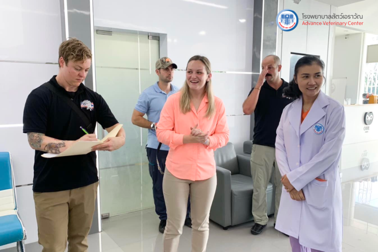 โรงพยาบาลสัตว์เอราวัณ (Erawan Pet Hospital)