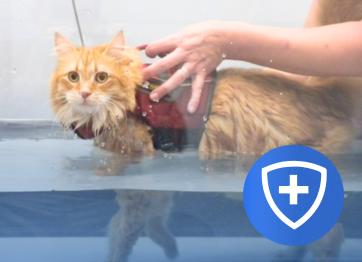 โรงพยาบาลสัตว์เอราวัณ (Erawan Pet Hospital)