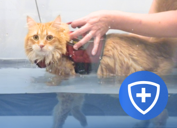 โรงพยาบาลสัตว์เอราวัณ (Erawan Pet Hospital)