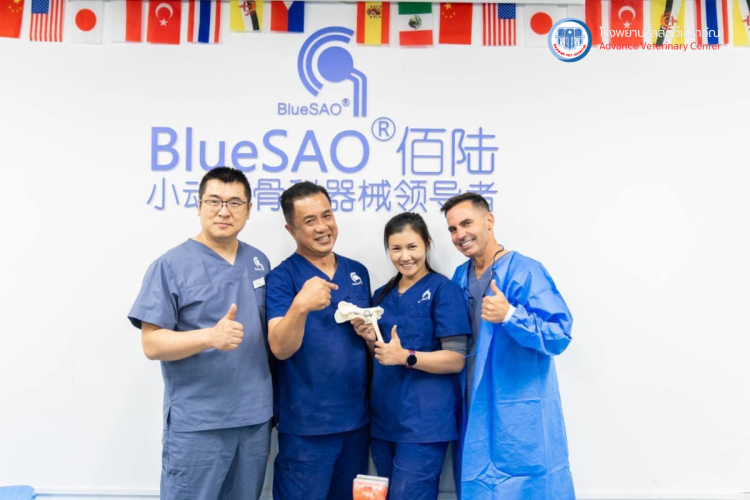 โรงพยาบาลสัตว์เอราวัณ (Erawan Pet Hospital)