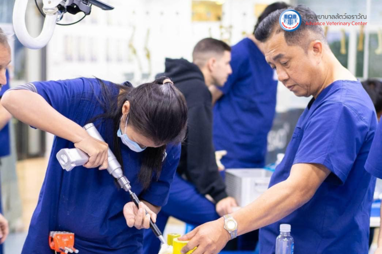 โรงพยาบาลสัตว์เอราวัณ (Erawan Pet Hospital)