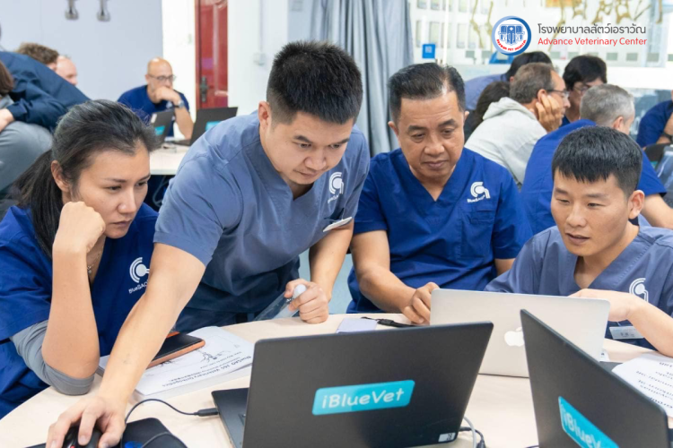 โรงพยาบาลสัตว์เอราวัณ (Erawan Pet Hospital)