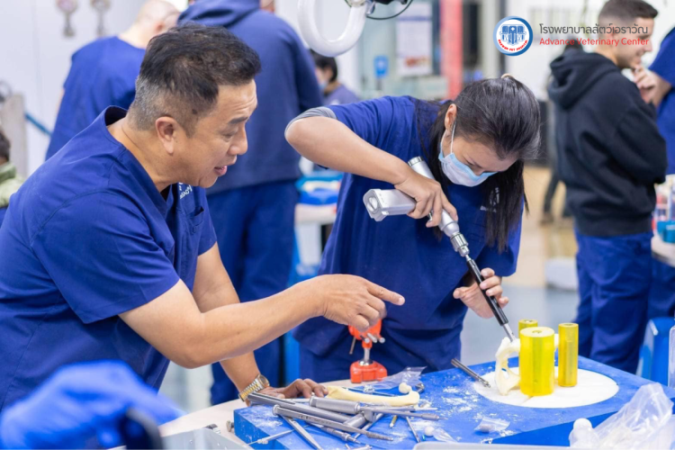 โรงพยาบาลสัตว์เอราวัณ (Erawan Pet Hospital)