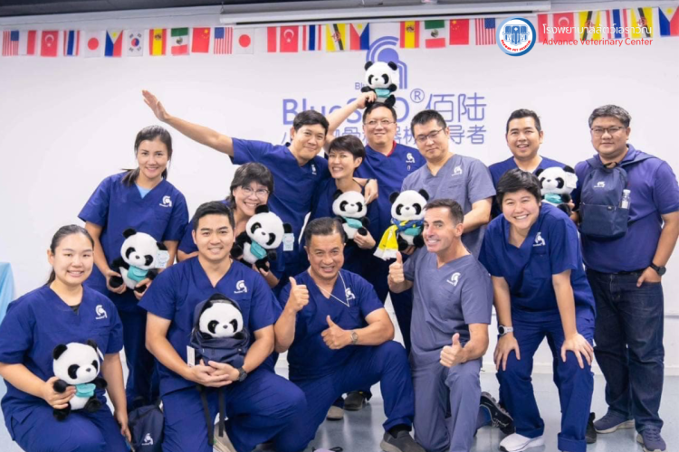 โรงพยาบาลสัตว์เอราวัณ (Erawan Pet Hospital)