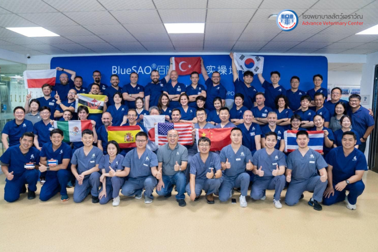 โรงพยาบาลสัตว์เอราวัณ (Erawan Pet Hospital)