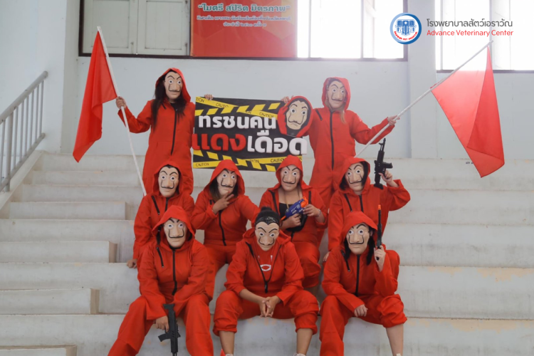 โรงพยาบาลสัตว์เอราวัณ (Erawan Pet Hospital)