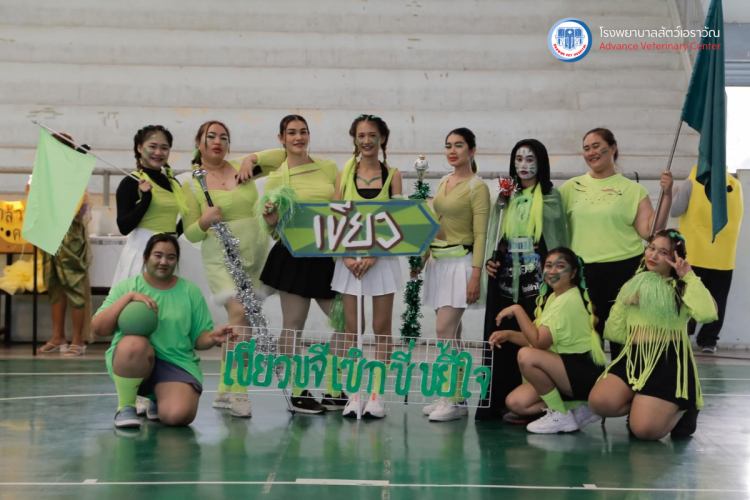 โรงพยาบาลสัตว์เอราวัณ (Erawan Pet Hospital)