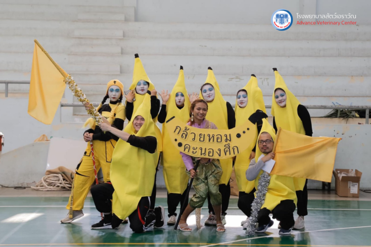 โรงพยาบาลสัตว์เอราวัณ (Erawan Pet Hospital)