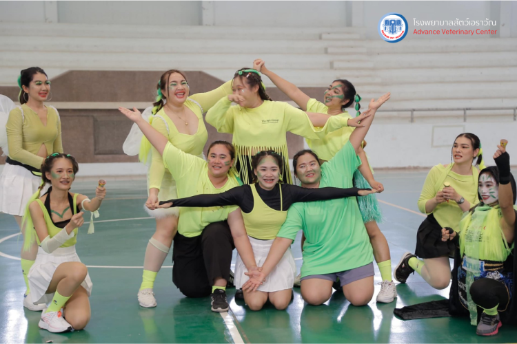 โรงพยาบาลสัตว์เอราวัณ (Erawan Pet Hospital)