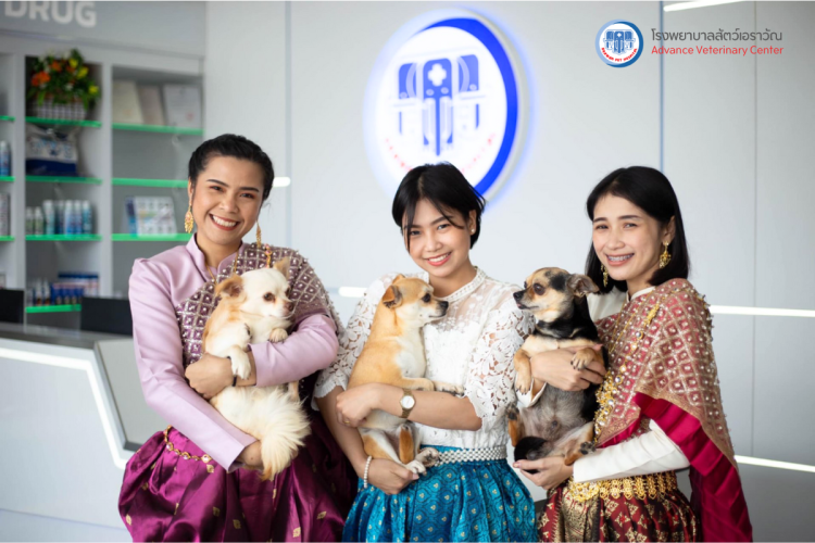 โรงพยาบาลสัตว์เอราวัณ (Erawan Pet Hospital)