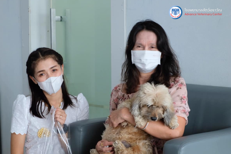 โรงพยาบาลสัตว์เอราวัณ (Erawan Pet Hospital)