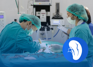 โรงพยาบาลสัตว์เอราวัณ (Erawan Pet Hospital)