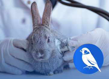 โรงพยาบาลสัตว์เอราวัณ (Erawan Pet Hospital)