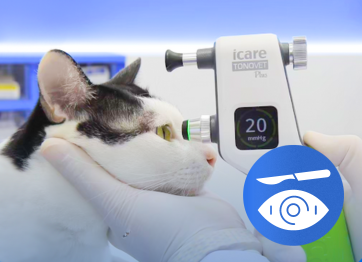 โรงพยาบาลสัตว์เอราวัณ (Erawan Pet Hospital)