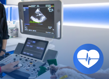 โรงพยาบาลสัตว์เอราวัณ (Erawan Pet Hospital)