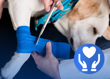 โรงพยาบาลสัตว์เอราวัณ (Erawan Pet Hospital)