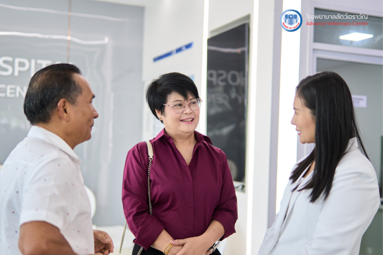 โรงพยาบาลสัตว์เอราวัณ (Erawan Pet Hospital)