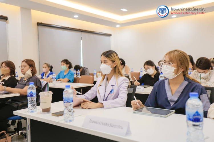 โรงพยาบาลสัตว์เอราวัณ (Erawan Pet Hospital)