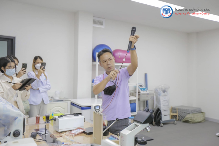 โรงพยาบาลสัตว์เอราวัณ (Erawan Pet Hospital)