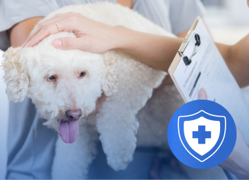 โรงพยาบาลสัตว์เอราวัณ (Erawan Pet Hospital)