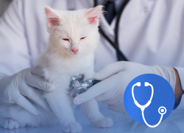โรงพยาบาลสัตว์เอราวัณ (Erawan Pet Hospital) โรงพยาบาลสัตว์เอราวัณ (Erawan Pet Hospital)