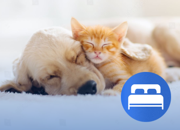 โรงพยาบาลสัตว์เอราวัณ (Erawan Pet Hospital) โรงพยาบาลสัตว์เอราวัณ (Erawan Pet Hospital)