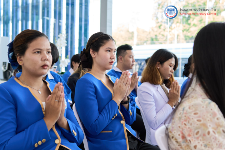 โรงพยาบาลสัตว์เอราวัณ (Erawan Pet Hospital)