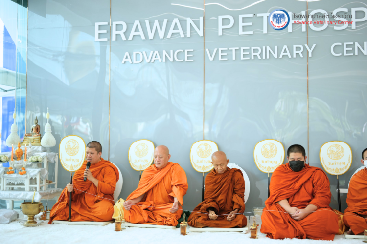 โรงพยาบาลสัตว์เอราวัณ (Erawan Pet Hospital)